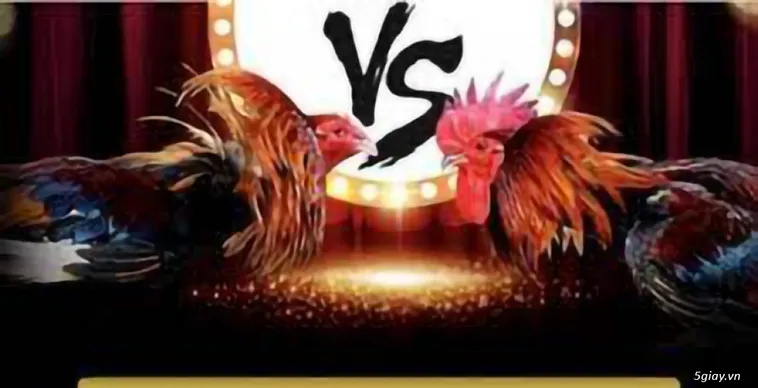 Đá Gà WinVN Khám Phá Đấu Trường Kê Siêu Kinh Điển Bậc Nhất