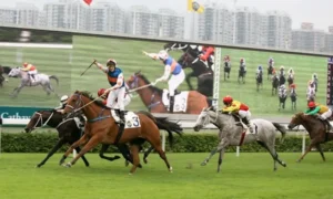 Khám Phá Thế Giới Cá Cược Đua Ngựa WinVN Cực Hấp Dẫn 2025