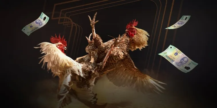 Đá Gà WinVN Khám Phá Đấu Trường Kê Siêu Kinh Điển Bậc Nhất