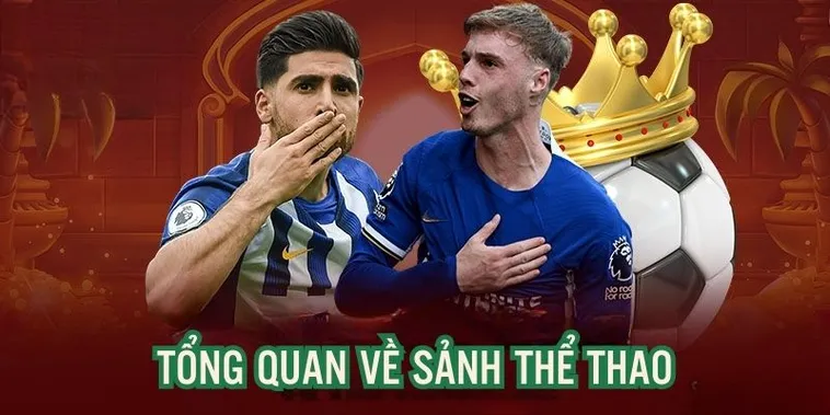 Khám Phá Thế Giới Cá Cược Thể Thao WinVN Sôi Động Đầy Cuốn Hút